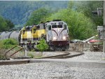 3024 leads the trio